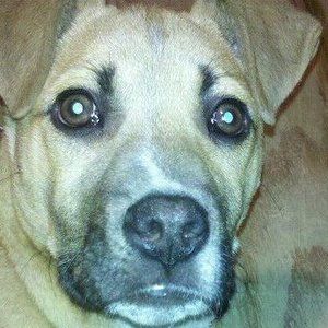 Meet your Posher, Marvin